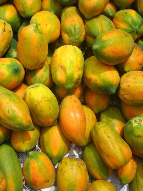 papaya Papaya Aesthetic, Papaya Farming, Flamingo Aesthetic, Coral Aesthetic, Vegetables Pictures, Fruits And Vegetables Pictures, Tropical Rouge Precure, Fruit Nails, Vegetable Pictures