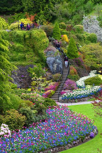 Buchart Gardens, Victorian Gardens, Tulip Garden, Butchart Gardens, Famous Gardens, Flowers And Greenery, Sunken Garden, Tulips Garden, Most Beautiful Gardens