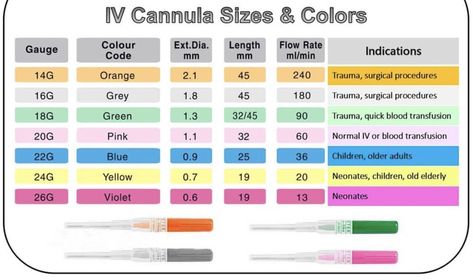 Iv Cannula Size And Color, Iv Cannula, Iv Fluids, Med Surg, Body Anatomy, Medical Aesthetic, Bun Hairstyles For Long Hair, Nursing Students, Pediatrics