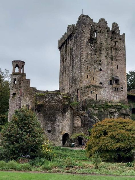 Blarney Castle in Cork Ireland 🇮🇪 beautiful old Castle is abandoned and in Ruins Old Castle Ruins, Old English Castle, Old Castle, American Castles, King Of The World, Royal Castles, European Castles, Scenery Background, Castle Ruins