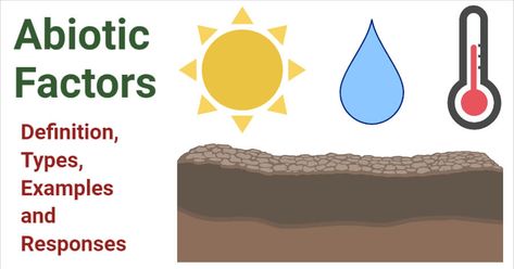 Last Updated on February 9, 2021 by Sagar Aryal Our environment, the place where we human beings, as well as many creatures, live, is actually made up of or influenced by various factors. These factors have made the earth a home for all of us. This ecosystem is maintained and balanced by the two main factors. i.e abiotic factor and ... Read moreAbiotic Factors- Definition, Types, Examples and Responses The post Abiotic Factors- Definition, Types, Examples and Responses appeared first on Microbe Biotic And Abiotic Resources, Abiotic Factors, Characteristics And Classification Of Living Organisms Notes, Biochemistry Infographic, Rainforest Ecosystem, Environmental Chemistry, Normal Body Temperature, Desert Ecosystem, Biochemical Tests Microbiology