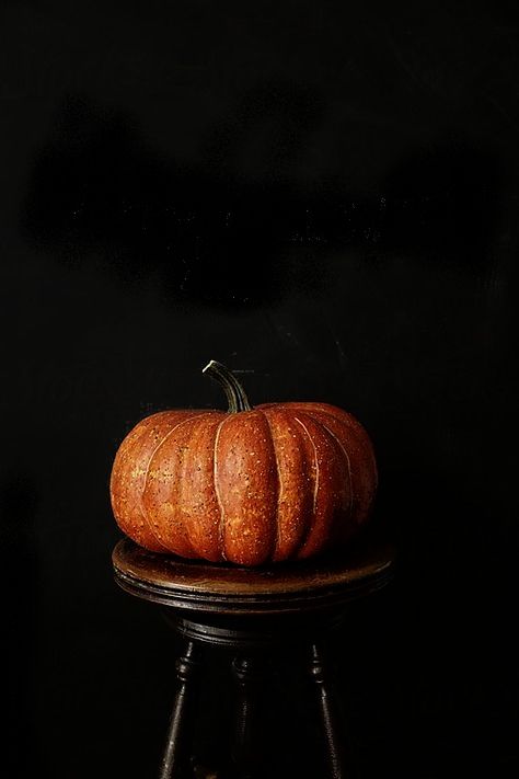 Pumpkin Still Life Photography, Pumpkin Reference Photo, Pumpkin Black Background, Veggie Photography, Realism Practice, Pumpkin Photography, Samhain Halloween, Painting References, Pumpkin Photos