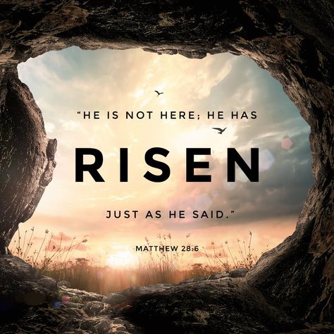 Easter Scripture Quotes, Risen Just As He Said, Easter Scriptures, Jesus Has Risen, Rise Quotes, Resurrection Day, Jesus Is Risen, Resurrection Sunday, He Has Risen