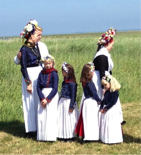 Danish traditional dress. Danish Folk Costumes, Danish Traditional Clothing, Traditional Danish Clothing, Danish Dress, Denmark Culture, Scandinavian Costume, Danish Culture, Kingdom Of Denmark, Dance Workshop