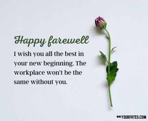 Farewell Quotes For Colleagues, Funny Farewell Messages, Happy Journey, Farewell Message, Farewell Quotes, I Wish You Happiness, Happy Retirement, Future Career, Wish You The Best