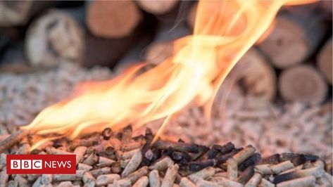 RHI Inquiry: The report due this week will not be a 'comfortable read' https://www.bbc.co.uk/news/uk-northern-ireland-51795791 #News #London Biomass Boiler, Biomass Energy, Chicken Shed, Wood Pellets, Pellet Stove, Have A Good Night, Pellet Grill, Organic Fertilizer, Clean Energy