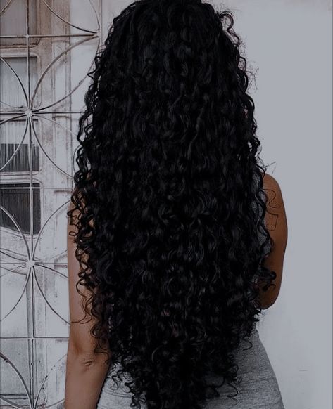 Classic Curly Hairstyles, Shiny Curly Hair, Long Curly Black Hair, 2024 Hair Trends For Women, The Wet Look, Healthy Curly Hair, 2024 Hair Trends, Long Natural Curly Hair, Black Hair Aesthetic