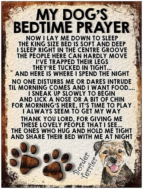 Dog Poems, Dog Lover Quotes, Dog Quotes Love, Bedtime Prayer, Retro Metal Signs, Gift For Dog Lover, Border Terrier, Rhodesian Ridgeback, Dog Cute