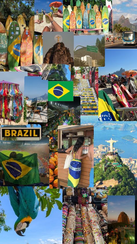 Brazil Wallpaper, Brazil Culture, Cool Fish Tanks, Cool Fish, Holiday Blues, Summer Plans, Cute Animals Images, Summer Dream, Summer Pictures