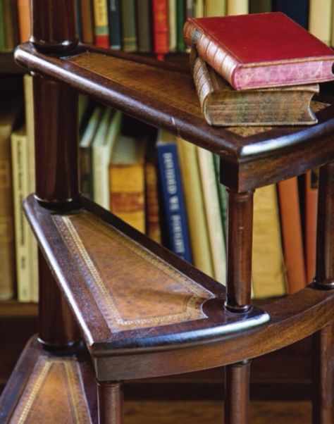 Love this spiral library step ladder Library Step Stool, Library Sliding Ladder, Spiral Library Step Ladder, Library Ladder Lowe's, Wooden Library, Library Ladders, Dc House, Antique Library, Library Ladder