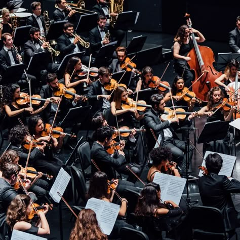 Did you know that that Havergal Brian’s Symphony No. 1, the “Gothic”, to be performed requires an orchestra made of more than 800 musicians, of whom 81 are string players? The Gothic, Symphony Orchestra, Music Design, New Trailers, Latest Movies, Yurt, Scary Movies, Movie Trailers, Classical Music