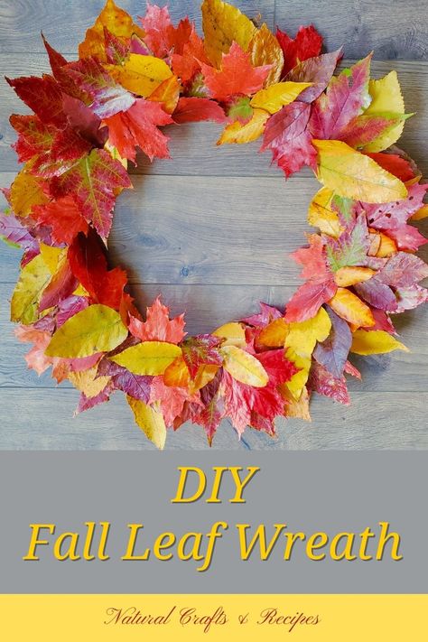 Diy Fall Wreath Real Leaves, Real Leaf Wreath, Fall Crafts With Real Leaves, Leaf Wreath Craft For Kids, Felt Leaf Wreath Diy, Fall Wreaths Diy Easy, Thanksgiving Wreaths Diy, Leaves Crafts, Fall Leaf Wreath