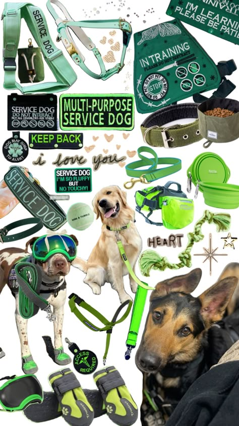 Service dog gear #servicedog#servicedogs#servicedoggear#dog#dogs#doggear#green##greengear Service Dog Gear, Psychiatric Service Dog, Dog Equipment, Service Dogs Gear, Cool Room Designs, Service Dog Training, Service Dog Vests, Dog Business, Emotional Support Dog