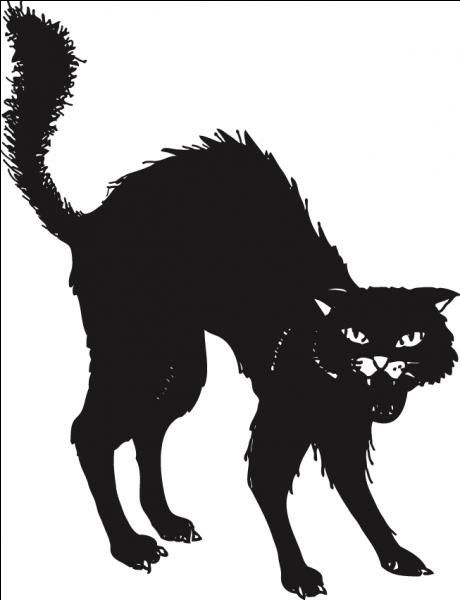 Black Cat Arched Back Tattoo, Black Cat Illustration Drawing, Cat Scared Drawing, Black Cat Graphic, Scary Cat Tattoo, Angry Cat Tattoo, Scared Cat Drawing, Angry Cat Illustration, Angry Cat Drawing