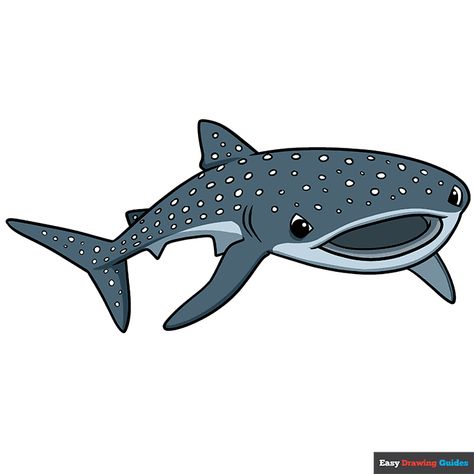 Whale Shark Drawing Easy, Whale Shark Doodle, Blue Whale Drawing, Draw A Whale, Great White Shark Drawing, Shark Drawing Easy, Whale Shark Drawing, Shark Project, Whale Shark Art