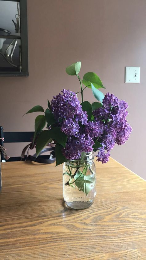 Purple Lilacs 💜 Small Vases, Purple Lilac, Flower Farm, Small Vase, Hampshire, Glass Vase, Lilac, Vase, Purple