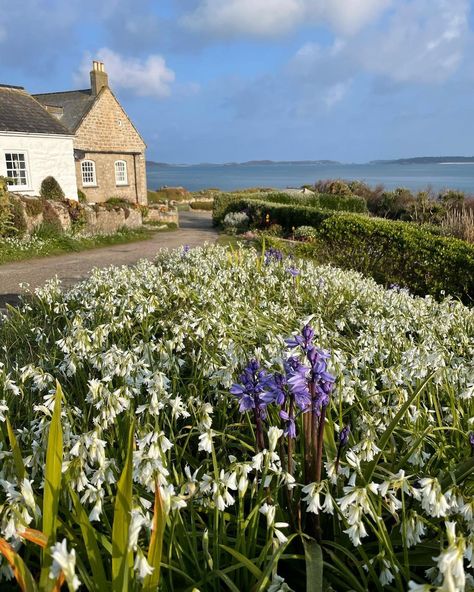 Cornwall Garden, Seaside Inn, Good Morning Today, British Seaside, Dream Future, Nautical Tattoo, Cottage By The Sea, Space Place, Isles Of Scilly