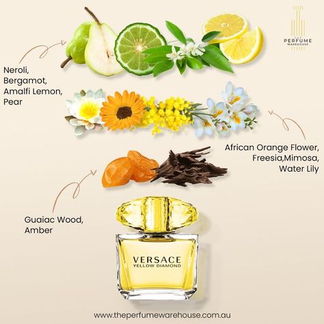 Mimosa Perfume, Bergamot Perfume, Lemon Perfume, Citrus Perfume, Fresh Perfume, Flower Perfume, Perfume Recipes, Perfume Bottle Design, Fragrances Perfume Woman