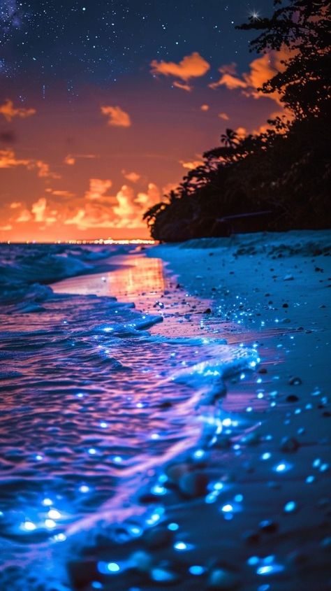 Peace Pics, Beach At Night Aesthetic, Island At Night, Glowing Beach, Outdoor Wallpaper, Glowing Ocean, Forever Wallpaper, Magical Beach, Fantasy Beach