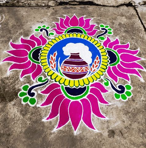 Peacock Rangoli Designs Diwali Latest, Pongal Rangoli Design Beautiful, Sankranti Rangoli Designs Easy, Sankranthi Muggulu With Colours, Bhogi Rangoli Designs, Pongal Kolam Rangoli, Pongal Muggulu, Pongal Rangoli Design, Rangoli Designs Videos