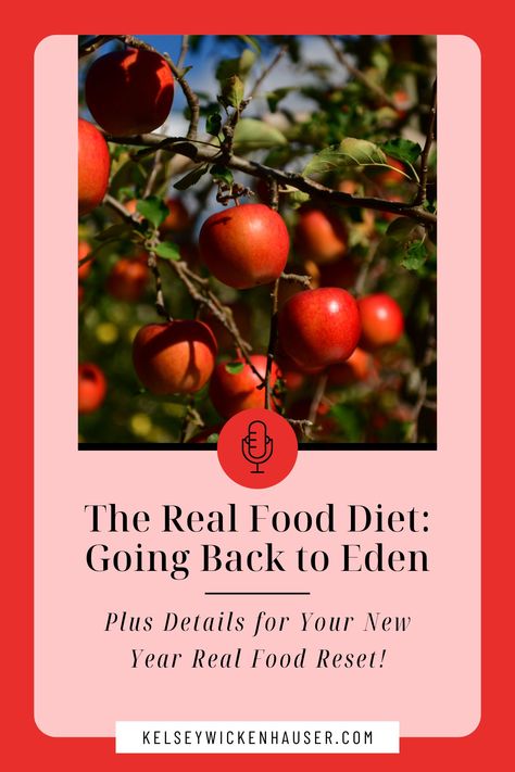 In this episode, Kelsey invites you to imagine the perfection of the Garden of Eden and the incredible impact of consuming a real food diet. Food Reset, Back To Eden, Real Food Diet, Fruit Bearing Trees, The Garden Of Eden, Kinds Of Fruits, Diet Culture, Food Diet, Garden Of Eden