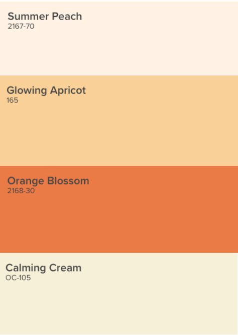 Orange Blossom Color Palette, Pastel Orange Wall Paint, White Peach Color Palette, Muted Peach Color Palette, Orange And Cream Color Palette, Apricot Crush Color Palette, Apricot Colour Palette, Apricot Wall Color, Shades Of Peach Colour Palettes