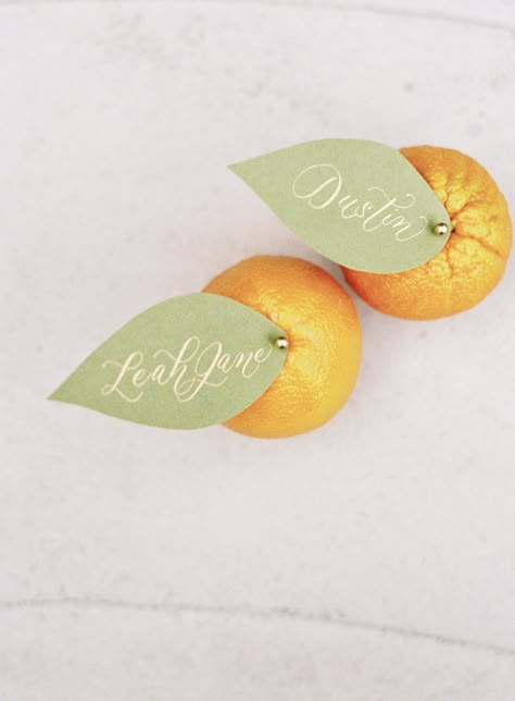 Feather Bow Ties, Citrus Wedding, Dahlias Garden, His Style, Name Place Cards, Wedding Name, Garden Roses, Virginia Weddings, Wedding Paper