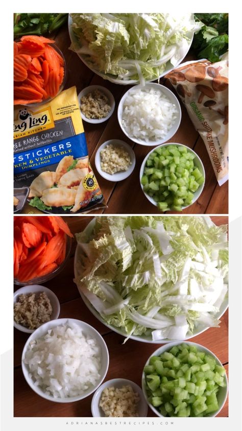 A comforting chicken potsticker soup for the Instant Pot is what we have on the menu for celebrating the Chinese New Year, the year of the metal rat. We chose fresh and frozen produce, such as Napa cabbage, also called Chinese cabbage, carrots, fresh ginger, garlic, celery, white onion, and shitake mushrooms. The broth is a low sodium chicken stock and used good quality frozen chicken potstickers. #soupseason #potstickers #asiancuisine #chinesenewyear #instantpot Crockpot Pot Sticker Soup, Pot Sticker Soup, Potsticker Soup, Frozen Potstickers, Parmesan Soup, Chinese Dumplings, Chowder Soup, Asian Vegetables, Pressure Cooker Chicken