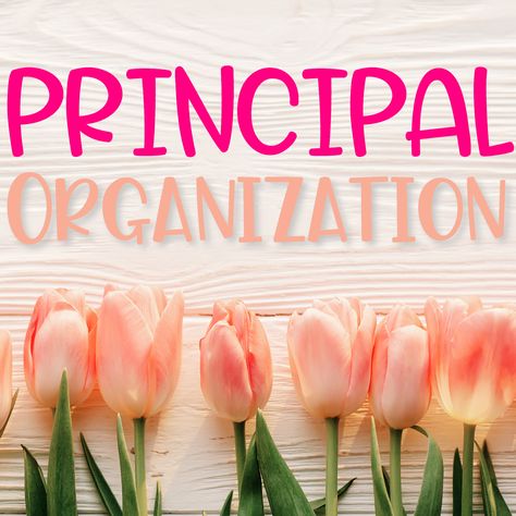 Principal Organization, School Leadership Principal, Schedule For School, Organization For School, Team Building Activities For Adults, November Gratitude, Blog On Pinterest, Elementary School Principal, Faculty Meetings