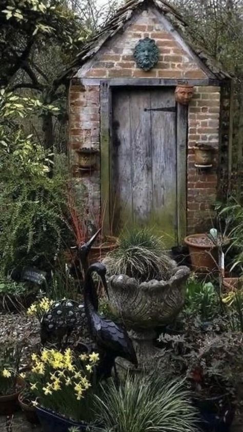 Garden Potting Shed, Small Garden Pots, Shed Inspiration, Small Cottage Garden Ideas, Cottage Garden Sheds, Exterior Windows, Small Garden Shed, Shed Landscaping, Funny Vine