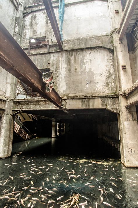 Abandoned Malls, Bangkok Shopping, Abandoned House, Centre Commercial, Koi Pond, Abandoned Buildings, Abandoned Houses, Ghost Towns, Post Apocalyptic