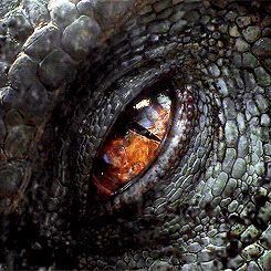 # Indominus Rex Eye Jurassic World Regard Animal, Indominus Rex, Margaery Tyrell, Jurassic World Dinosaurs, Zodiac Academy, Targaryen Aesthetic, Cersei Lannister, 다크 판타지, Dragon Rider