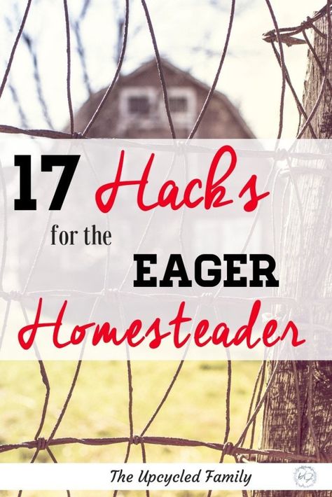 Start Homesteading, Homestead Hacks, Homestead Business, Live Off Grid, Homesteading Hacks, Homestead Tips, Homestead Skills, Cowgirl Lifestyle, Modern Homesteading