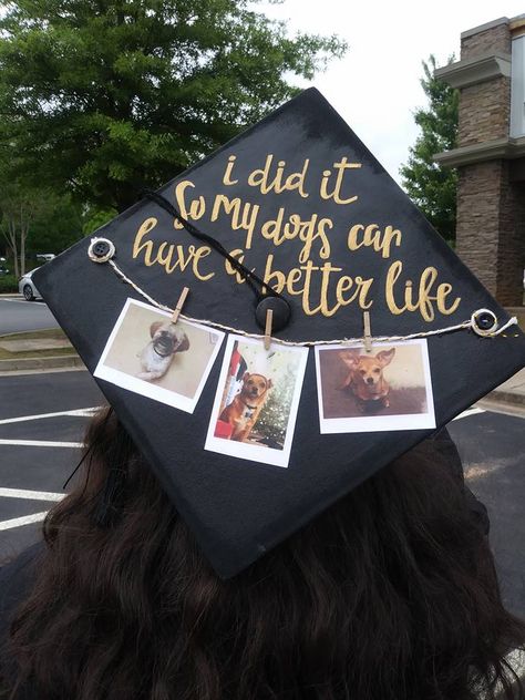 I did it so my dog can have a better life graduation cap. Graduation Cap Designs Dog Mom, Grad Cap Ideas Dog, I Did It For My Dog Graduation Cap, Dog Mom Graduation Cap, Funny Graduation Photoshoot, Graduation Cap Designs Dog, Dog Graduation Cap Ideas, I Did It For Them Graduation Cap, Veterinary Graduation Cap