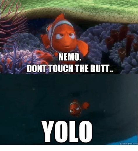 40+ Of The Funniest Disney Memes Nemo Memes, Disney Annual Passholder, Funny Disney Memes, Disney Vacation Club, Vacation Club, Dont Touch, Finding Nemo, Disney Memes, Inside Jokes