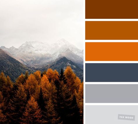 Pretty Autumn Color Schemes { Smokey + burnt orange } A pretty colour palette. To get you started on your own palette, we’ve created over... Burnt Orange Palette Colour Schemes, Orange Hues Colour Palettes, Colours That Go With Burnt Orange, Colors With Burnt Orange, Burnt Orange Mustard Color Palette, Burnt Orange Colour Scheme, Color Schemes Burnt Orange, Fall Tones Colour Palettes, Colour Palette Burnt Orange