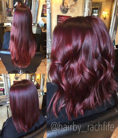 Bright red violet mermaid hair long bob haircut   Hair by Rachel Fife @ Sara Fraraccio Salon in Akron, Ohio Violet Hair Color Ideas, Violet Hair Color, Red Violet Hair Color, Pelo Color Borgoña, Red Violet Hair, Violet Hair Colors, Gold Hair Colors, Hair Color Rose Gold, Violet Hair