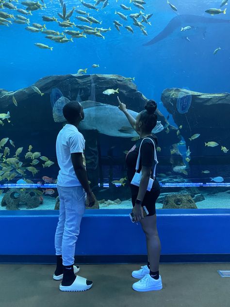 Aquarium Date Black Couple, Black Couple Swimming, Florida Baecation, Baecation Aesthetic, Baecation Black Couples, Jeans Nails, Aquarium Date, Fish Ideas, Dream Dates