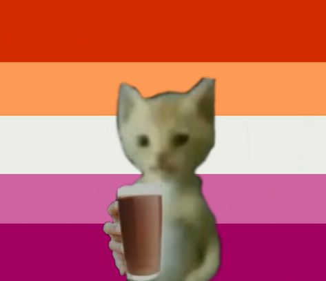 Choco Milk, A Cat, A Coffee, Milk, Kitty, Coffee, Orange, Memes, Pink