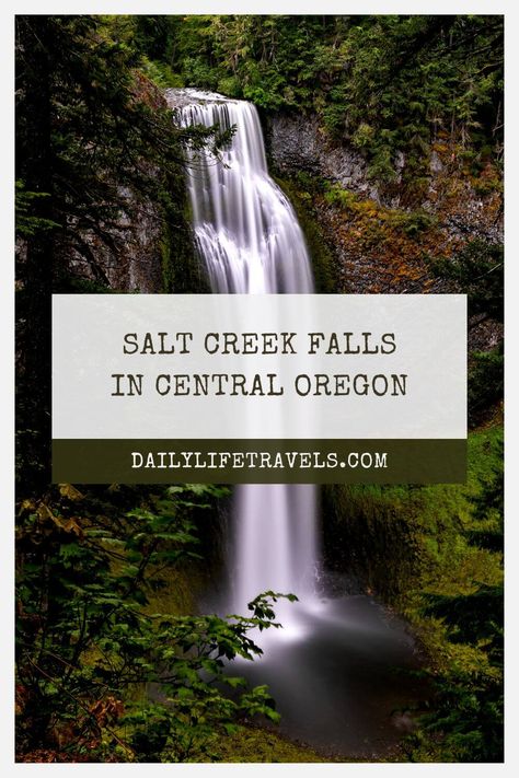 Salt Creek Falls Oregon, Oregon Waterfalls, Central Oregon, Wheelchair Accessible, Blue River, Forest Service, Beautiful Waterfalls, National Forest, Stunning View