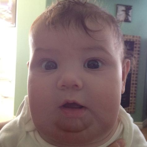 My fat booth baby Fat Kid Meme, Fat Babies, Fat Humor, Fat Baby, Boy Meme, Baby Fat, Dream Man, Silly Pictures, Dream Guy