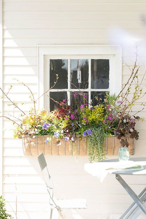 Faux Plants Window Boxes, Under Window Shelf, Fall Landscape Ideas, Window Box Decor, Window Flower Boxes, Fall Window Boxes, House Flip, Front Stoop, Porch Remodel