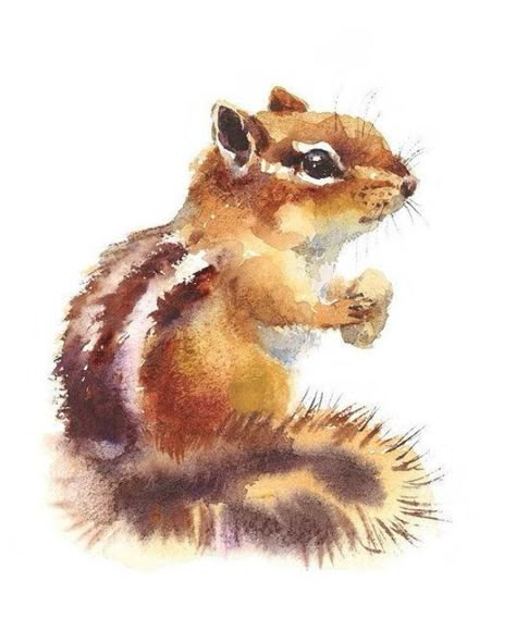 Wild Animals Illustration, Chipmunk Art, Stripes Background, Watercolor Paintings Of Animals, Animals Illustration, Bee Painting, Diy Watercolor Painting, Watercolor Inspiration, Watercolor Animals