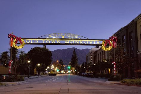 Old Town Monrovia, California. Sometimes I even get homesick for this place... Monrovia California, Christmas Net Lights, Tournament Of Roses Parade, Christmas Wallpaper Hd, Larchmont Village Los Angeles, Temple City, California Christmas, Christmas Photo, Net Lights