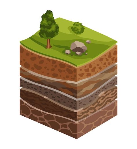 Layers Of Earth, Grass Tree, Sand And Gravel, Soil Layers, Cross Section, Education Poster, Vector Photo, Premium Vector, Soil