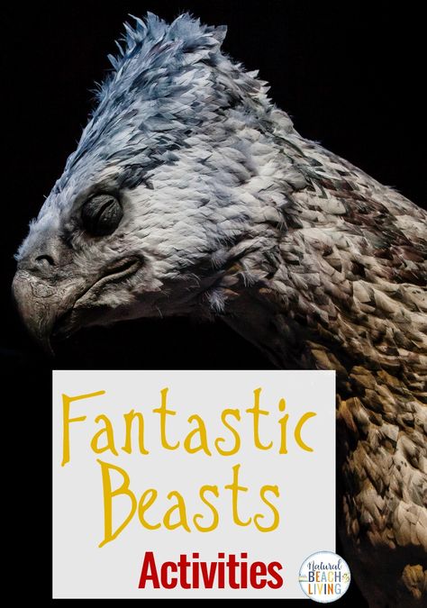 Fantastic Beasts Activities, Fantastic Beasts Ideas, Harry Potter Printables, Fantastic Beasts Printables, Harry Potter Activities make the experience even more magical with a few fun Fantastic Beasts and where to find them crafts, recipes, and party ideas. #harrypotter #fantasticbeasts #fantasticbeastsideas #fantasticbeastsactivities #harrypotterprintables Fantastic Beasts Party Decorations, Fantastic Beasts Party Ideas, Fantastic Beasts Birthday Party, Fantastic Beasts And Where To Find Them, Fantastic Beasts Party, Hp Potions, Magical Creatures Harry Potter, Dinosaur Books For Kids, Harry Potter Activities