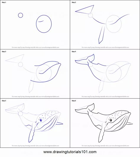 How to Draw Humpback Whale from Fantasia printable step by step drawing sheet : DrawingTutorials101.com Whale Tutorial Drawing, How To Draw Humpback Whale, How To Paint A Whale Step By Step, How To Draw Whales Step By Step, How To Draw Sea Turtle Step By Step, How To Draw A Stingray Step By Step, Whale Drawing Reference, How To Draw Sea Animals Step By Step, How To Draw Sea Creatures Step By Step