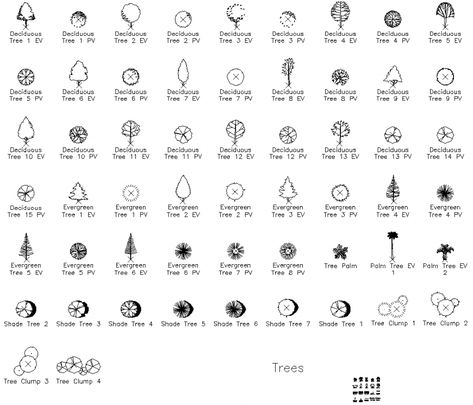 Different types of tree plan drawing in dwg file. Tree Plan Drawing, Elevation Details, Architectural Trees, Plan And Elevation, Different Trees, Detail Drawing, Elevation Drawing, Tree Plan, Drawing Block