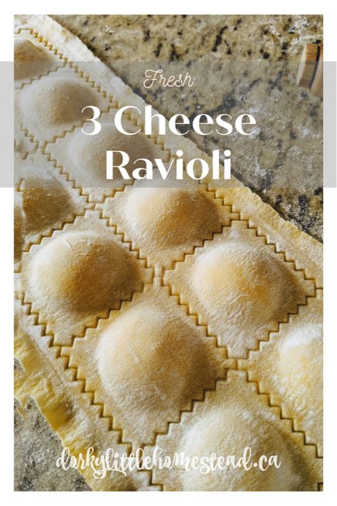 Ravioli Recipe Filling, Samosa Recept, Ravioli Dough Recipe, Fresh Pasta Dough Recipe, Ravioli From Scratch, Cheese Ravioli Recipe, Ravioli Recipe Homemade, Ravioli Recipes, Ravioli Dough