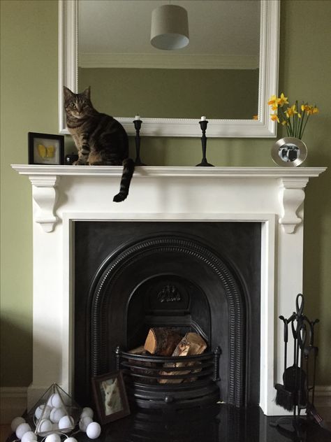 Victorian Arched Fireplace, Cast Iron Fireplace White Surround, Edwardian House Fireplace, Victorian Terrace Fireplace Ideas, Modern Cast Iron Fireplace, Fireplace Victorian House, White Victorian Fireplace, Victorian Fire Place, Small Edwardian Living Room